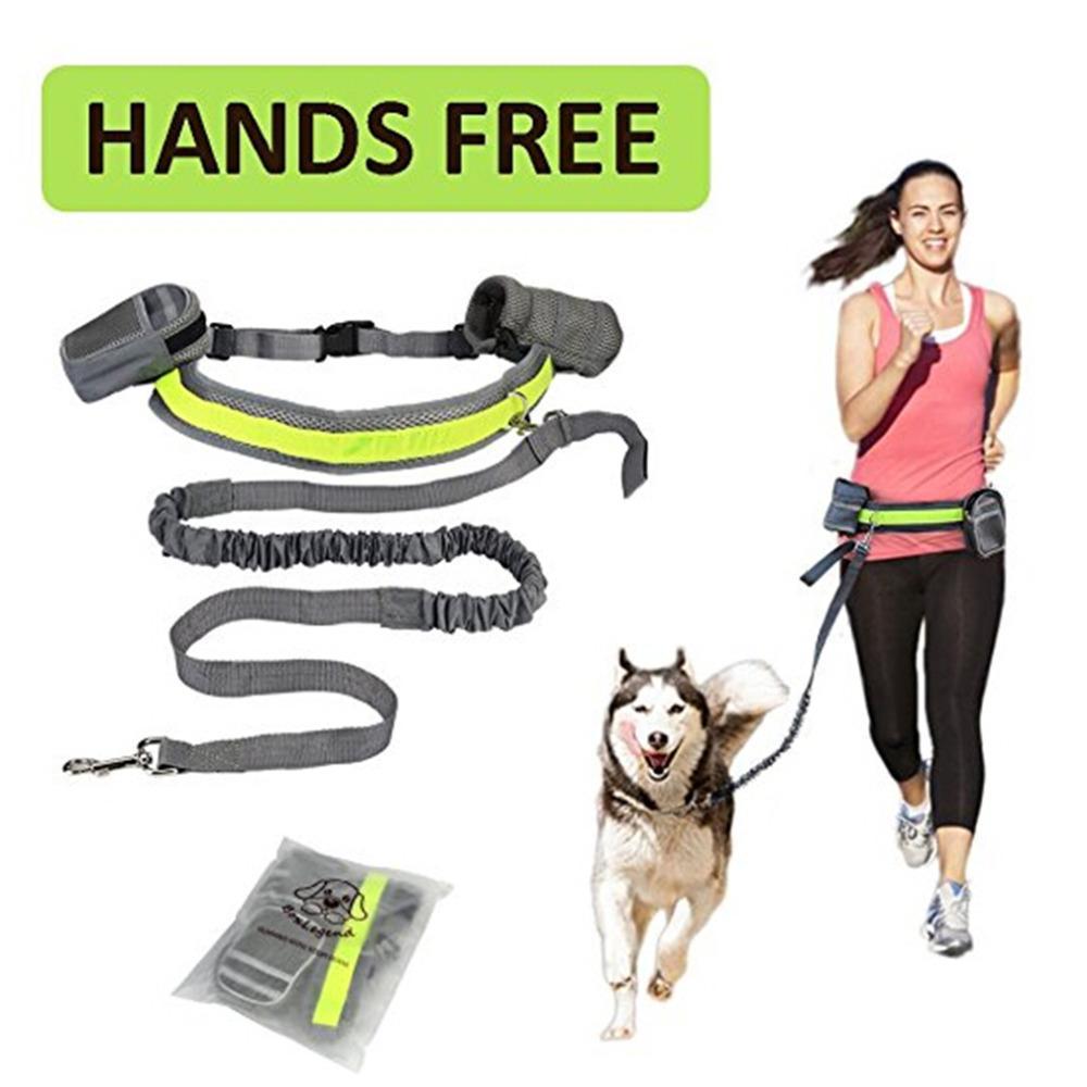 Adjustable Hands Free Retractable Dog Leash with Waist belt and detachable bags