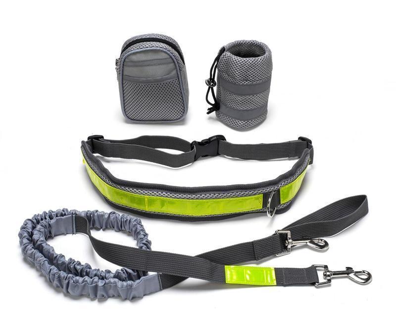 Adjustable Hands Free Retractable Dog Leash with Waist belt and detachable bags