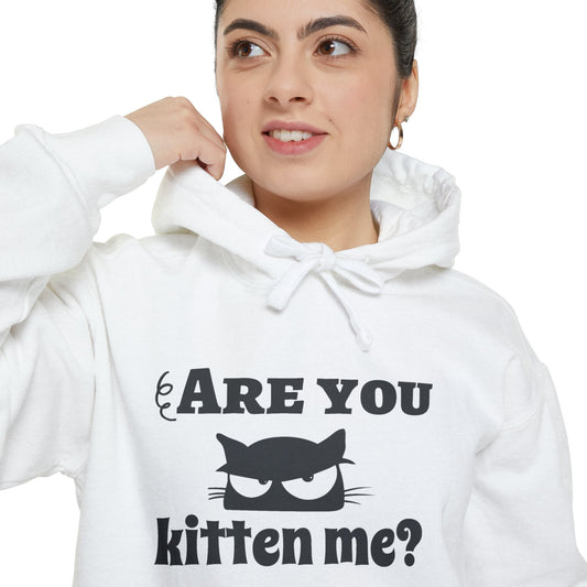 Are You Kitten Me? Unisex Hoodie - I Love Heartstrings