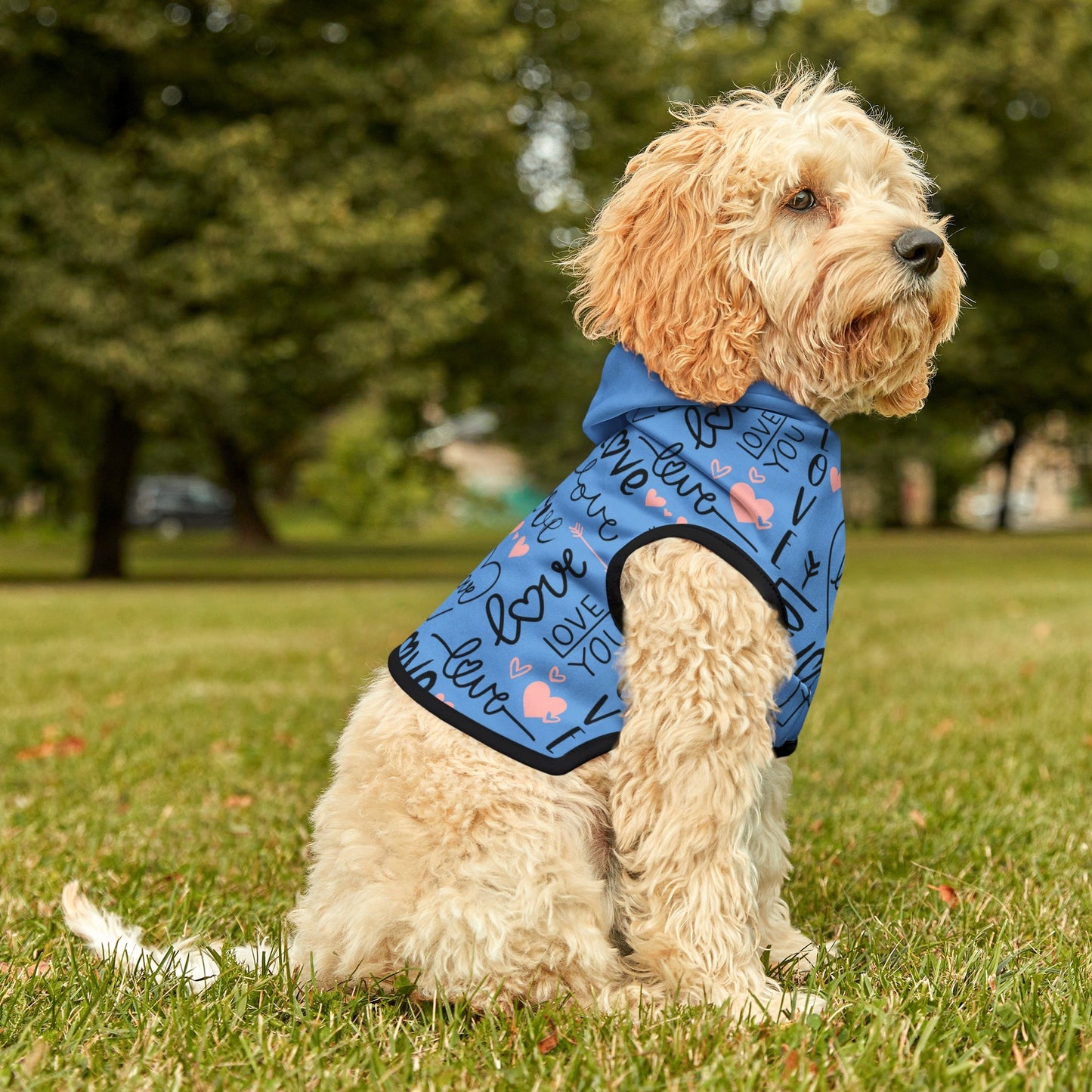 Light blue Dog Hoodie - I Love Heartstrings